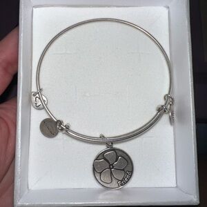 Alex and Ani friendship bracelet